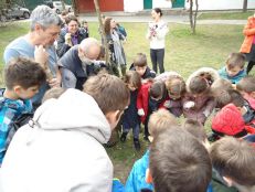 5.Gle glista u rupi