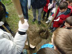8.Razmatranje pothvata