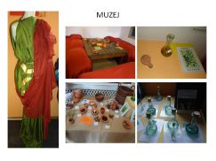 MUZEJ