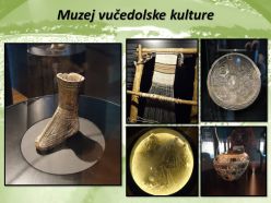 Muzej vučedolske kulture 1