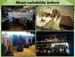 Muzej vučedolske kulture 2