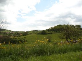 doviđenja