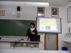 zsv 2012 11mj 3