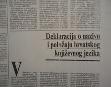 izloba8_800x600