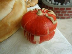 DSC00039_800x600