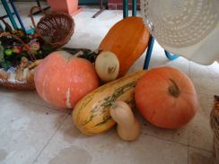 DSC00044_800x600