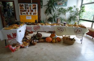 DSC00045_800x600