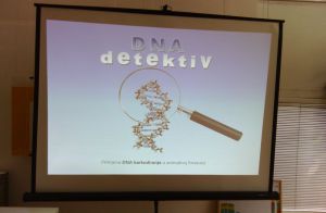 dna2 copy