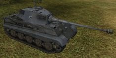 tiger