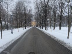 Vrapanska_aleja