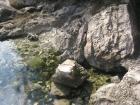 Izvor_solta
