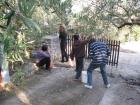 UZ Buharica I Osmai U Berbi Maslina 2011_os Grohote