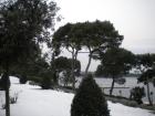 Park U Dvorcu Marchi