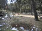 Oistimo oltu U Jedan Dan  - ienj Uvale Kajun U Rogau