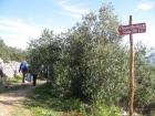 Oistimo oltu U Jedan Dan  - ienj Uvale Kajun U Rogau