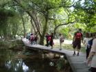 U NP Krka