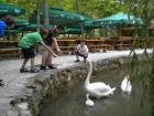 U NP Krka