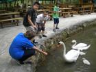 U NP Krka