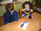 Puzzles
