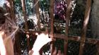 20150511_105340 (2)