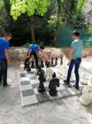 IMG-F7080c84ffb1f0a61317495c133fa71c-V