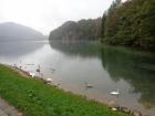 DSC00515_800x600