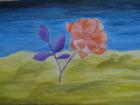 IMG_8568_800x600