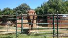 IMG-20160531-WA0183
