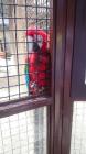 IMG-20160531-WA0219