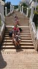 IMG-20160601-WA0053