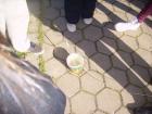 PICT0401