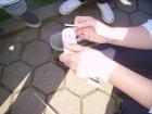 PICT0410