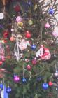 IMG_20141215_112500