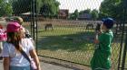 20150605_174639_resized