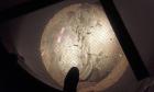 20151217_091708 (Small)