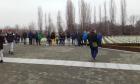 20151217_095516 (Small)