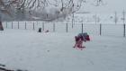 20170117_142137