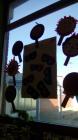 IMG_20170223_101801