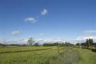 IMG_8938a