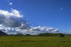 IMG_8939a