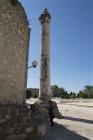 IMG_9032a