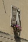 IMG_9033a