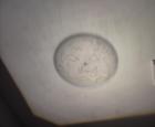 CAM09667-1
