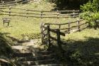 IMG_6636 1000p