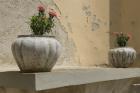IMG_6702 1000p