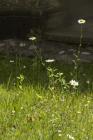 IMG_6705 1000p