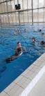 IMG-7c9d0e62717a4d7c6f2d5f4489d2e493-V