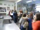 Comenius (76)