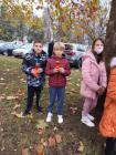 IMG-461b054bb8dd38e7f26a9d185761dae6-V