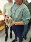 IMG-0beab45be509b135c2c302e369cdce49-V